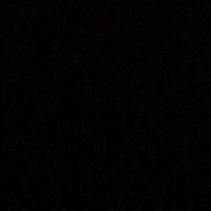 Meet your Posher, Leonidas